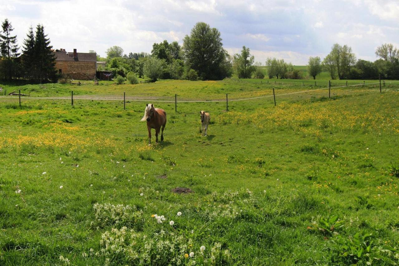 Vacation Home, Zahrensdorf Esterno foto